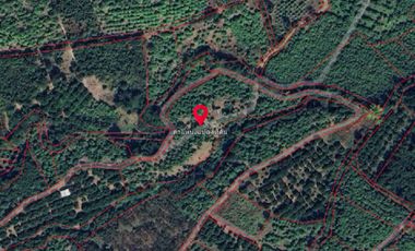 Cheap 7-Rai Land for Sale Near Chiang Mai – Only 1.5M THB