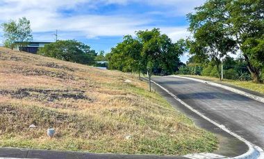 The Peak at Havila Corner Lot for Sale in Rizal Facing City view