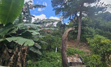 Residential Lot for Sale 10k/sqm in Lucnab, Baguio City