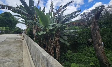 Residential Lot for Sale 10k/sqm in Lucnab, Baguio City