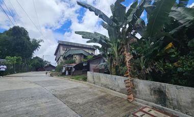 Residential Lot for Sale 10k/sqm in Lucnab, Baguio City