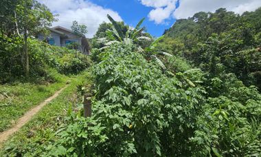 Residential Lot for Sale 10k/sqm in Lucnab, Baguio City