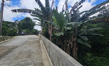 Residential Lot for Sale 10k/sqm in Lucnab, Baguio City