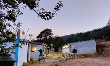 Terreno de poco mas de 7 hectáreas ubicado en Tlaxco Tlaxcala Rancheria las Mesas
