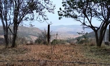 Terreno de poco mas de 7 hectáreas ubicado en Tlaxco Tlaxcala Rancheria las Mesas