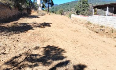 Terreno de poco mas de 7 hectáreas ubicado en Tlaxco Tlaxcala Rancheria las Mesas