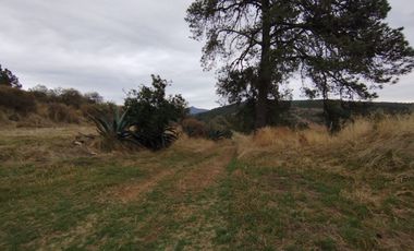 Terreno de poco mas de 7 hectáreas ubicado en Tlaxco Tlaxcala Rancheria las Mesas