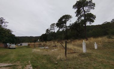 Terreno de poco mas de 7 hectáreas ubicado en Tlaxco Tlaxcala Rancheria las Mesas