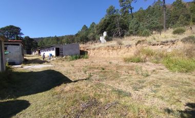 Terreno de poco mas de 7 hectáreas ubicado en Tlaxco Tlaxcala Rancheria las Mesas