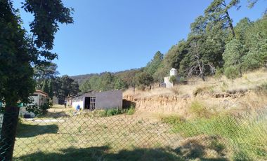 Terreno de poco mas de 7 hectáreas ubicado en Tlaxco Tlaxcala Rancheria las Mesas