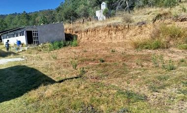 Terreno de poco mas de 7 hectáreas ubicado en Tlaxco Tlaxcala Rancheria las Mesas