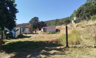 Terreno de poco mas de 7 hectáreas ubicado en Tlaxco Tlaxcala Rancheria las Mesas