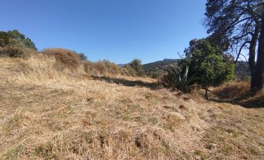 Terreno de poco mas de 7 hectáreas ubicado en Tlaxco Tlaxcala Rancheria las Mesas