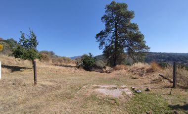 Terreno de poco mas de 7 hectáreas ubicado en Tlaxco Tlaxcala Rancheria las Mesas