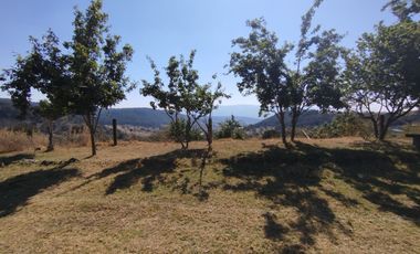 Terreno de poco mas de 7 hectáreas ubicado en Tlaxco Tlaxcala Rancheria las Mesas