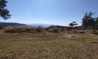 Terreno de poco mas de 7 hectáreas ubicado en Tlaxco Tlaxcala Rancheria las Mesas