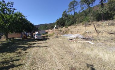 Terreno de poco mas de 7 hectáreas ubicado en Tlaxco Tlaxcala Rancheria las Mesas