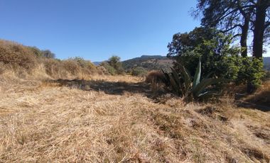 Terreno de poco mas de 7 hectáreas ubicado en Tlaxco Tlaxcala Rancheria las Mesas