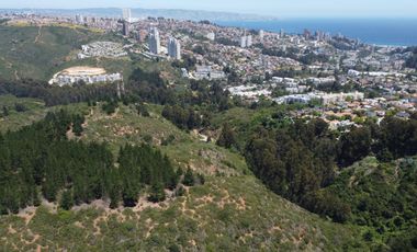 Terrenos de 1Ha, Los Almendros, Reñaca, Viña del Mar