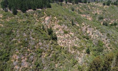 Terrenos de 1Ha, Los Almendros, Reñaca, Viña del Mar