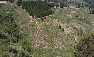 Terrenos de 1Ha, Los Almendros, Reñaca, Viña del Mar