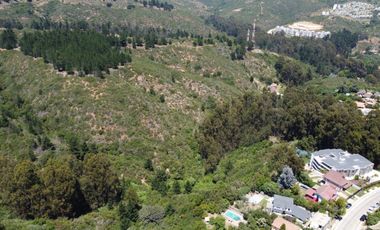 Terrenos de 1Ha, Los Almendros, Reñaca, Viña del Mar