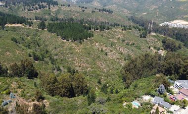 Terrenos de 1Ha, Los Almendros, Reñaca, Viña del Mar