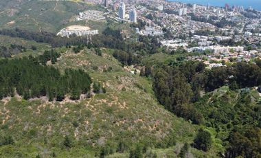 Terrenos de 1Ha, Los Almendros, Reñaca, Viña del Mar