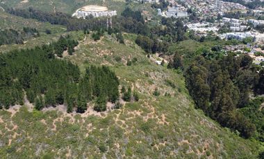 Terrenos de 1Ha, Los Almendros, Reñaca, Viña del Mar