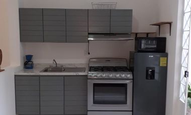 DEPARTAMENTO AMUEBLADO EN RENTA LOMAS DE CHAPULTEPEC