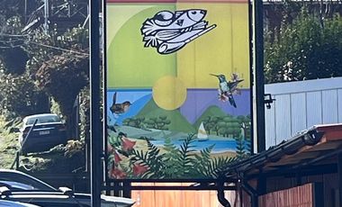 Se Vende Local Comercial en la Feria Costumbrista de Niebla - Valdivia