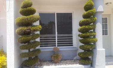 RENTA DE CASA EN PALMARES, CERCA DE ANTEA Y VIALIDADES, SEGURIDAD