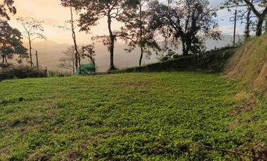 🏠vendo lote campestre vereda Sabanitas