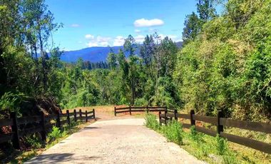 VENTA DE PARCELAS - Loteo Altos de Valdivia