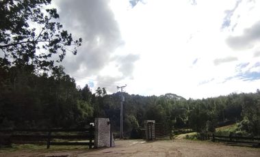 VENTA DE PARCELAS - Loteo Altos de Valdivia