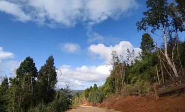 VENTA DE PARCELAS - Loteo Altos de Valdivia