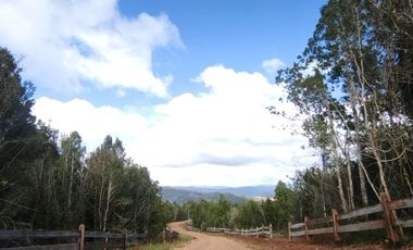 VENTA DE PARCELAS - Loteo Altos de Valdivia