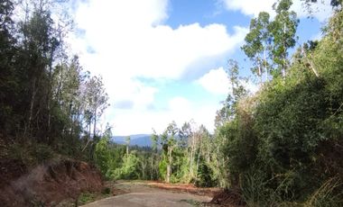 VENTA DE PARCELAS - Loteo Altos de Valdivia