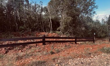 VENTA DE PARCELAS - Loteo Altos de Valdivia
