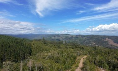VENTA DE PARCELAS - Loteo Altos de Valdivia