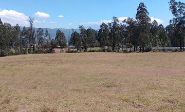 Terreno para proyectos de vivienda o bodegas en sector bodegas Supermaxi, Cotogchoa, Valle de Los Chillos