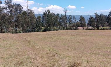 Terreno para proyectos de vivienda o bodegas en sector bodegas Supermaxi, Cotogchoa, Valle de Los Chillos