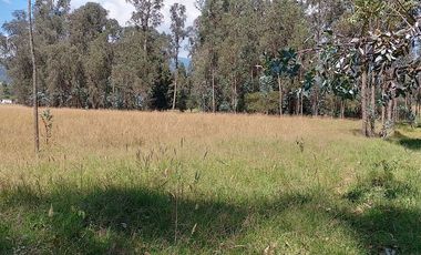 Terreno para proyectos de vivienda o bodegas en sector bodegas Supermaxi, Cotogchoa, Valle de Los Chillos