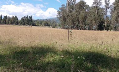 Terreno para proyectos de vivienda o bodegas en sector bodegas Supermaxi, Cotogchoa, Valle de Los Chillos