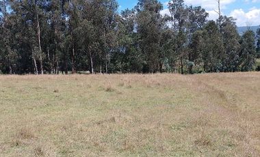 Terreno para proyectos de vivienda o bodegas en sector bodegas Supermaxi, Cotogchoa, Valle de Los Chillos
