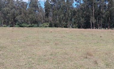 Terreno para proyectos de vivienda o bodegas en sector bodegas Supermaxi, Cotogchoa, Valle de Los Chillos