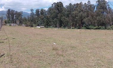 Terreno para proyectos de vivienda o bodegas en sector bodegas Supermaxi, Cotogchoa, Valle de Los Chillos