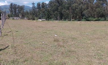 Terreno para proyectos de vivienda o bodegas en sector bodegas Supermaxi, Cotogchoa, Valle de Los Chillos