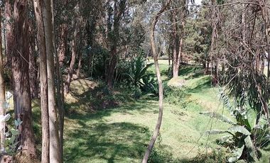 Terreno para proyectos de vivienda o bodegas en sector bodegas Supermaxi, Cotogchoa, Valle de Los Chillos