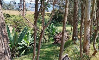 Terreno para proyectos de vivienda o bodegas en sector bodegas Supermaxi, Cotogchoa, Valle de Los Chillos